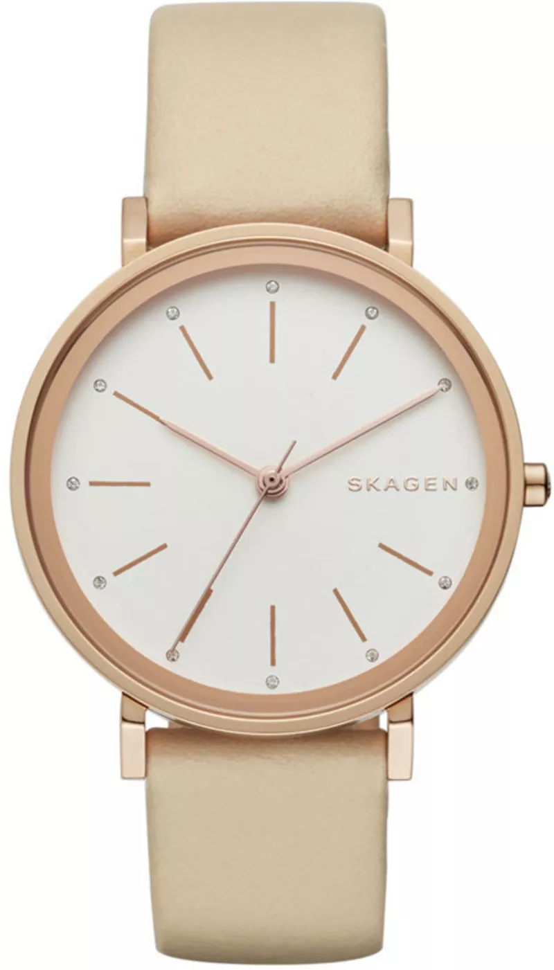 Часы Skagen SKW2489