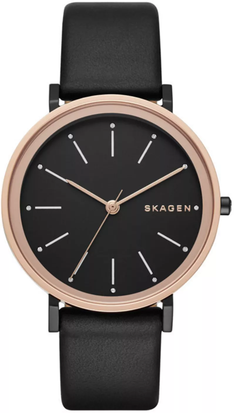 Часы Skagen SKW2490
