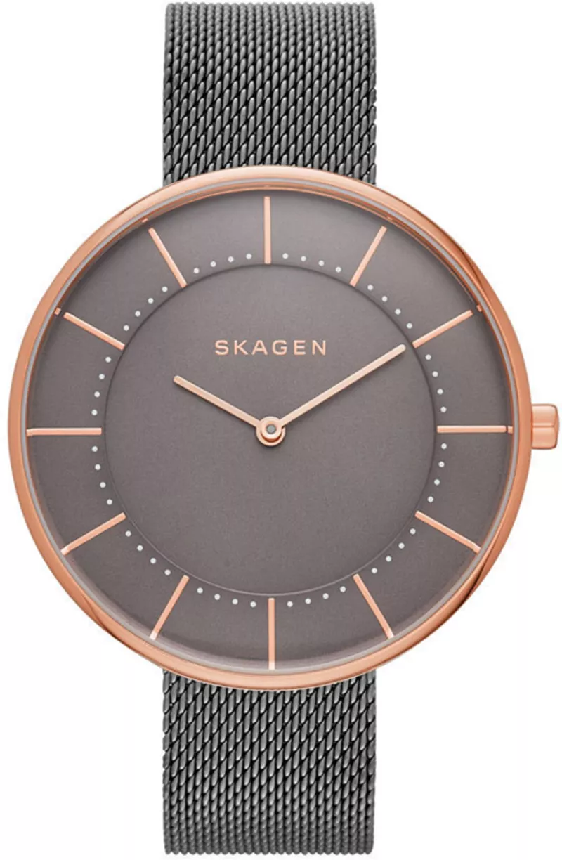Часы Skagen SKW2584