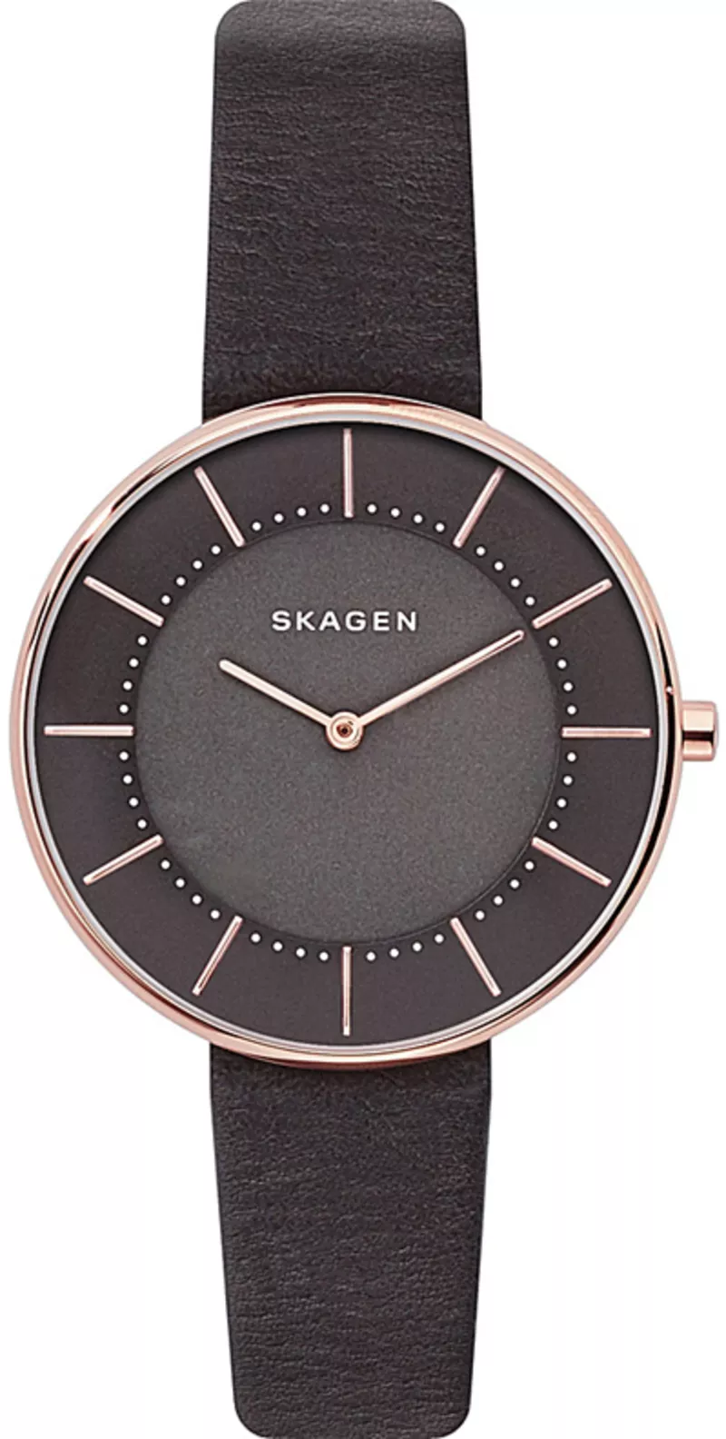 Часы Skagen SKW2613