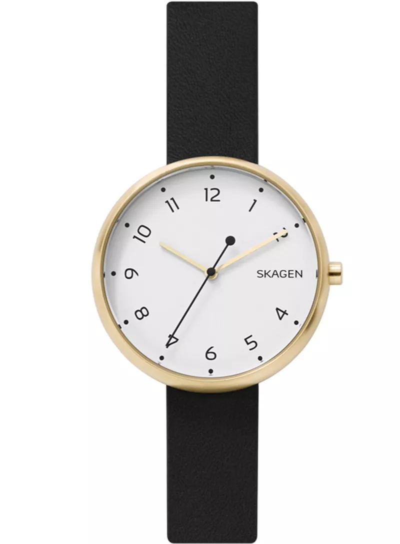 Часы Skagen SKW2626
