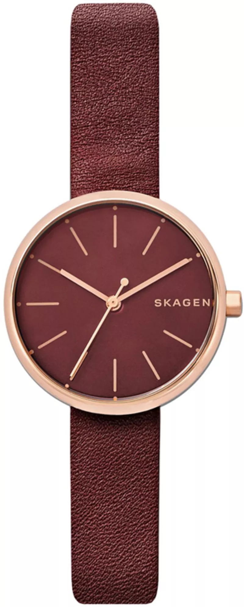 Часы Skagen SKW2646