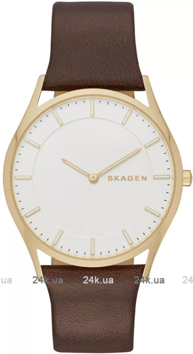 Часы Skagen SKW6225