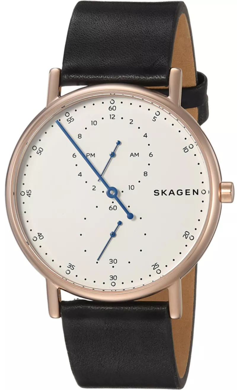 Часы Skagen SKW6390