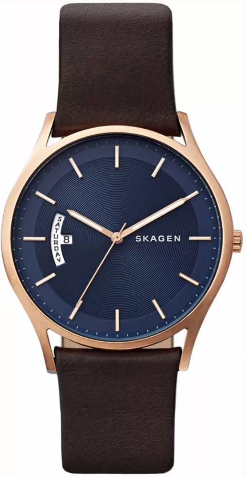 Часы Skagen SKW6395