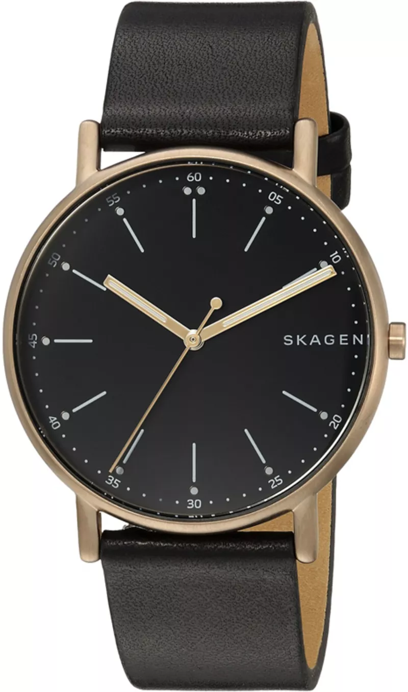 Часы Skagen SKW6401