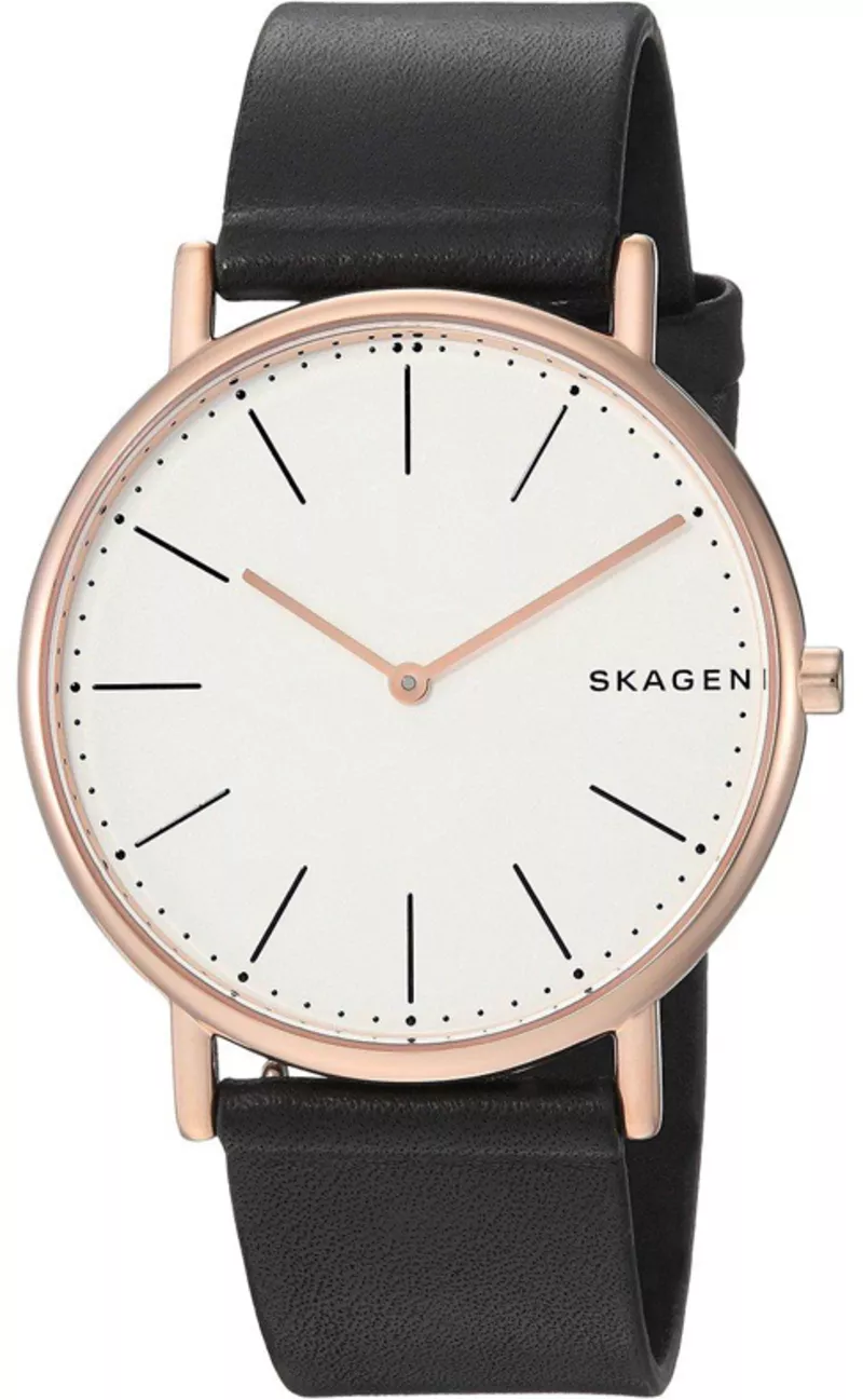 Часы Skagen SKW6430