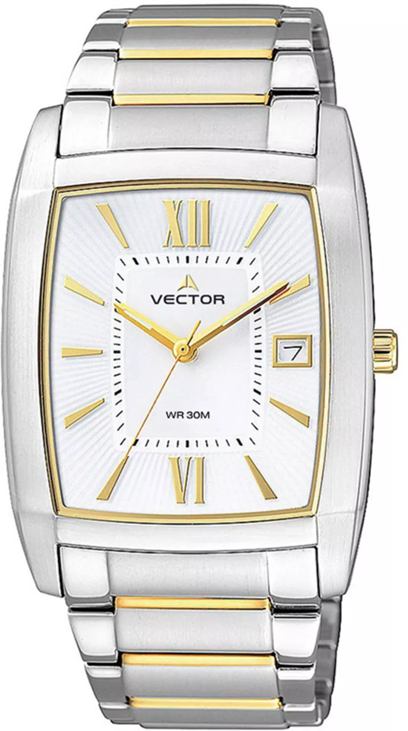 Часы Vector VC8-026463 steel