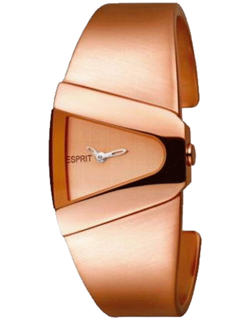Часы Esprit ES100602803